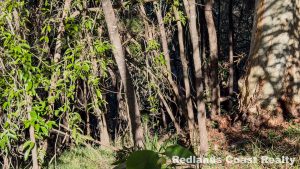 1_Paringa-6_8445-6a6ade2d12425