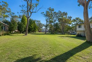 PIC_1_EDITED_1318-6a69645b66107
