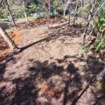 21 Nunkeri Drive, Macleay Island, QLD 4184