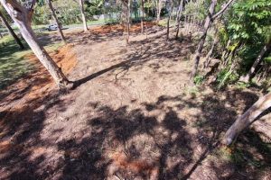 21 Nunkeri Drive, Macleay Island, QLD 4184
