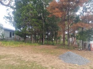 pic_2_4837-6a85373021828