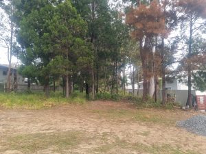 pic_of_block_4845-6a8537305aa2e