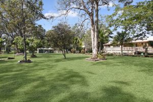 back_yard_0336-6a926c4a07c91