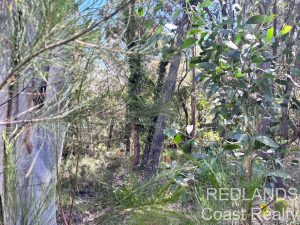 IMG_9298_2993-6a958640e9cdc