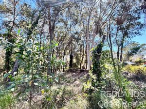 IMG_9300_2998-6a9586412efce