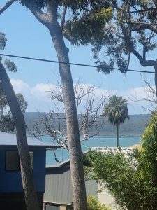 view_from_front_deck_0482-6ab20174abb89