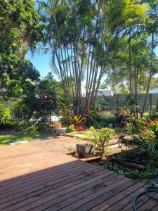 back_garden_0547-6ab2017515ac2