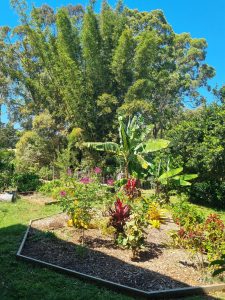 garden_0558-6ab201753e27f