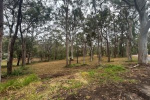 22-24 Wandoo Avenue, Macleay Island, QLD 4184