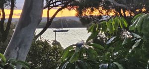 52 Charles Terrace, Macleay Island, QLD 4184