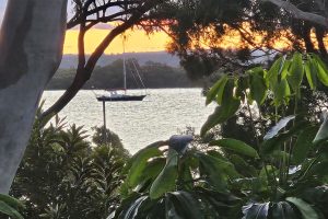 52 Charles Terrace, Macleay Island, QLD 4184