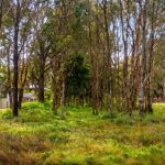 2 Ursula Street, Russell Island, QLD 4184