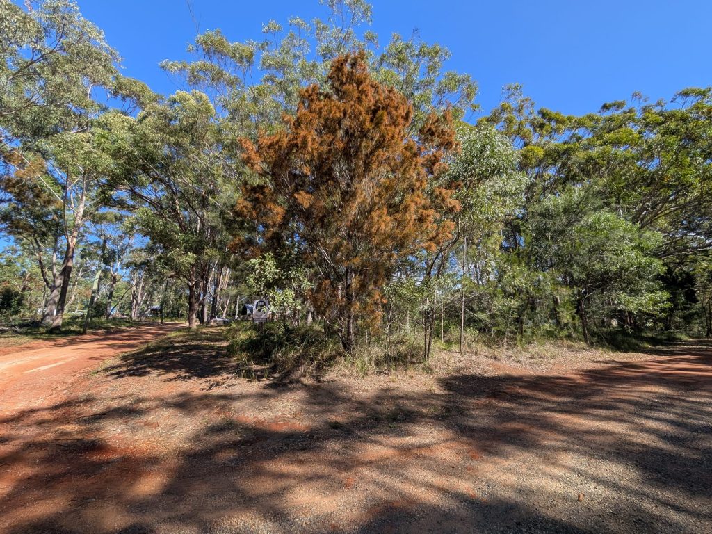 30 Cypress Avenue, Russell Island, QLD 4184