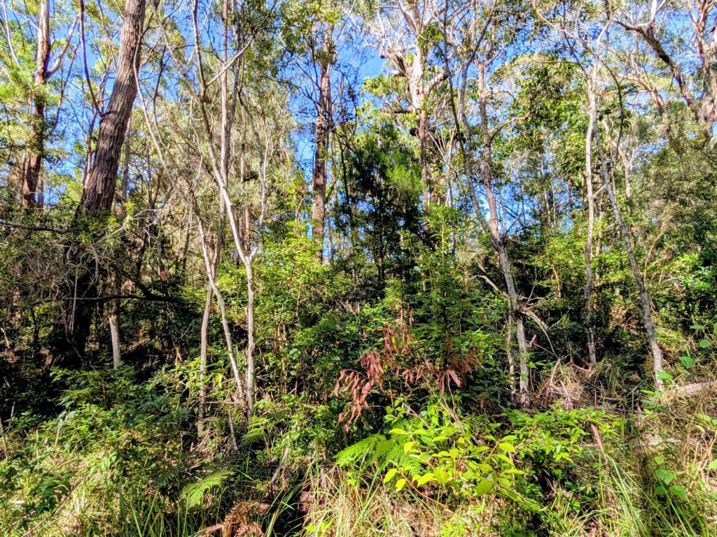 14 Borrows Street, Russell Island, QLD 4184