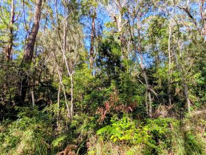 1788250619-c0281355-554d-4ae4-82eb-996195d5679d__204463084-image-M