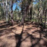 2 Canopy Cres, Russell Island, QLD 4184