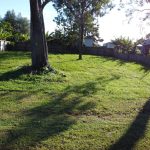 19 Fiji Street, Russell Island, QLD 4184