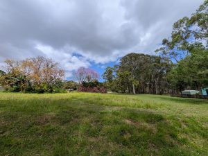 1788250642-8f3f3bfe-f9d4-4d00-a6d0-78a42720b188__204367940-image-M