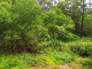 1788250628-5e503131-f9c3-46b4-b147-c0dd986e97d9__204542084-image-A