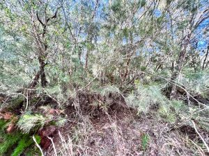 IMG_9370_6288-6aa14ebba6290