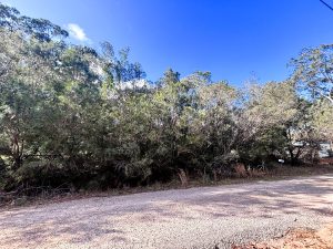 IMG_9372_6294-6aa14ebbdf46a