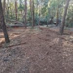 9 Highland Ridge Road, Russell Island, QLD 4184