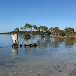 5 Castle Drive, Russell Island, QLD 4184