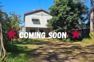10 Brolga Street, Macleay Island, QLD 4184