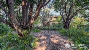 109-123_Lucas_drone_edited-5-2_5647-6ac33fd49962e
