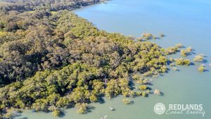 109-123_Lucas_drone_edited-2_5659-6ac33fd549d7f