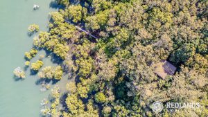 109-123_Lucas_drone_edited-4-2_5650-6ac33fd569b96