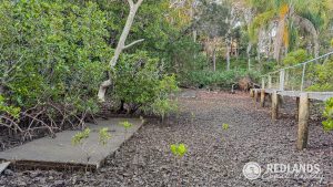 109-123_Lucas_waterfront_access-4_1681-6ac344e24cd8e