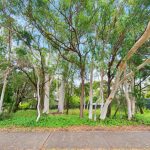 1 Aruma Street, Macleay Island, QLD 4184