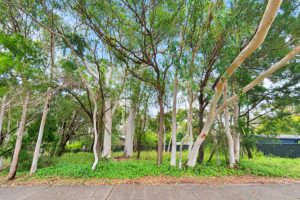 1 Aruma Street, Macleay Island, QLD 4184