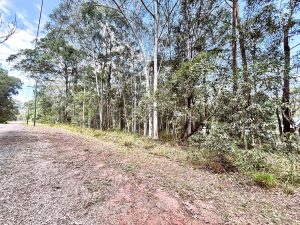 IMG_9474_4583-6ac300c196a42