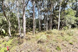 34 Waikiki Beach Road, Russell Island, QLD 4184