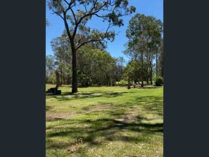 yard_4568-6ac4888c3d017