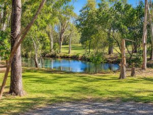 Sunlit_Woodland_Pond_Landscape__1__4576-6ac4888c572de