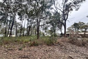 18 Diamond Street, Russell Island, QLD 4184